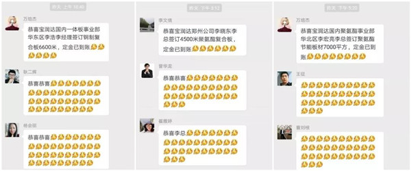 宝润达新型材料有限公司