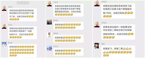 宝润达新型材料有限公司