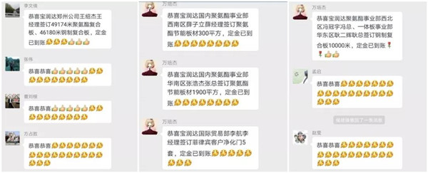 宝润达新型材料有限公司